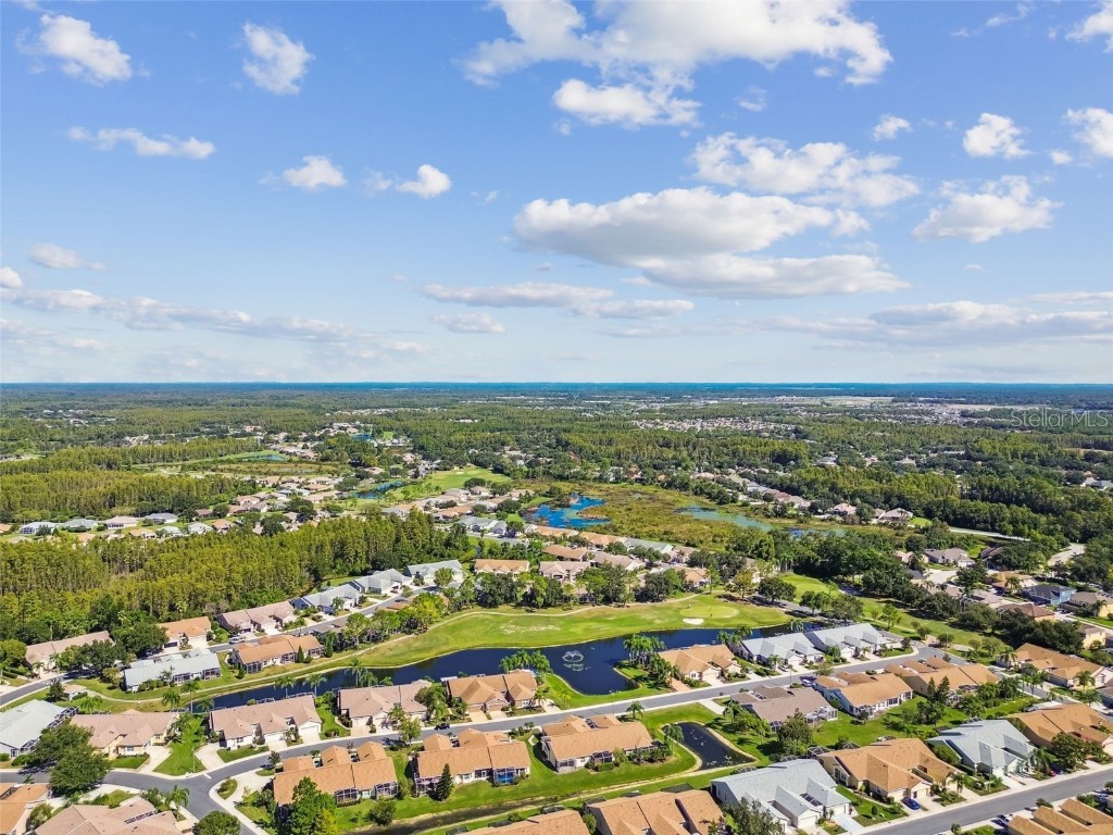 20830 Jaffa Lane Land O Lakes FL 34637 TB8438483 image38