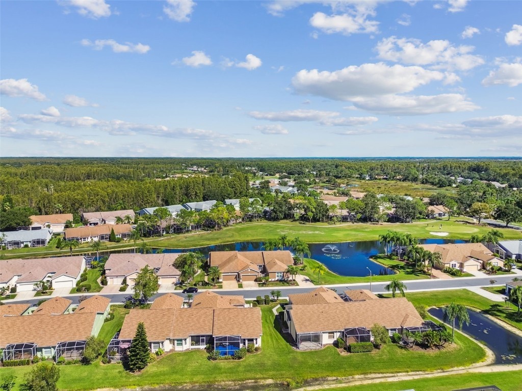 20830 Jaffa Lane Land O Lakes FL 34637 TB8438483 image39