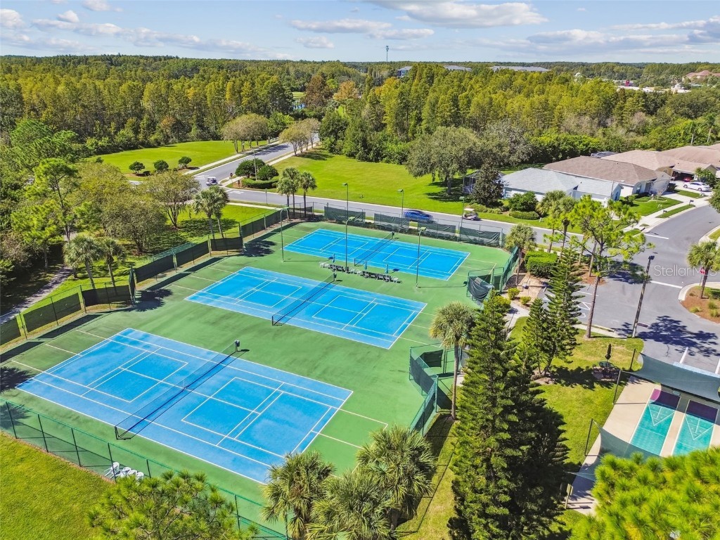 20830 Jaffa Lane Land O Lakes FL 34637 TB8438483 image44