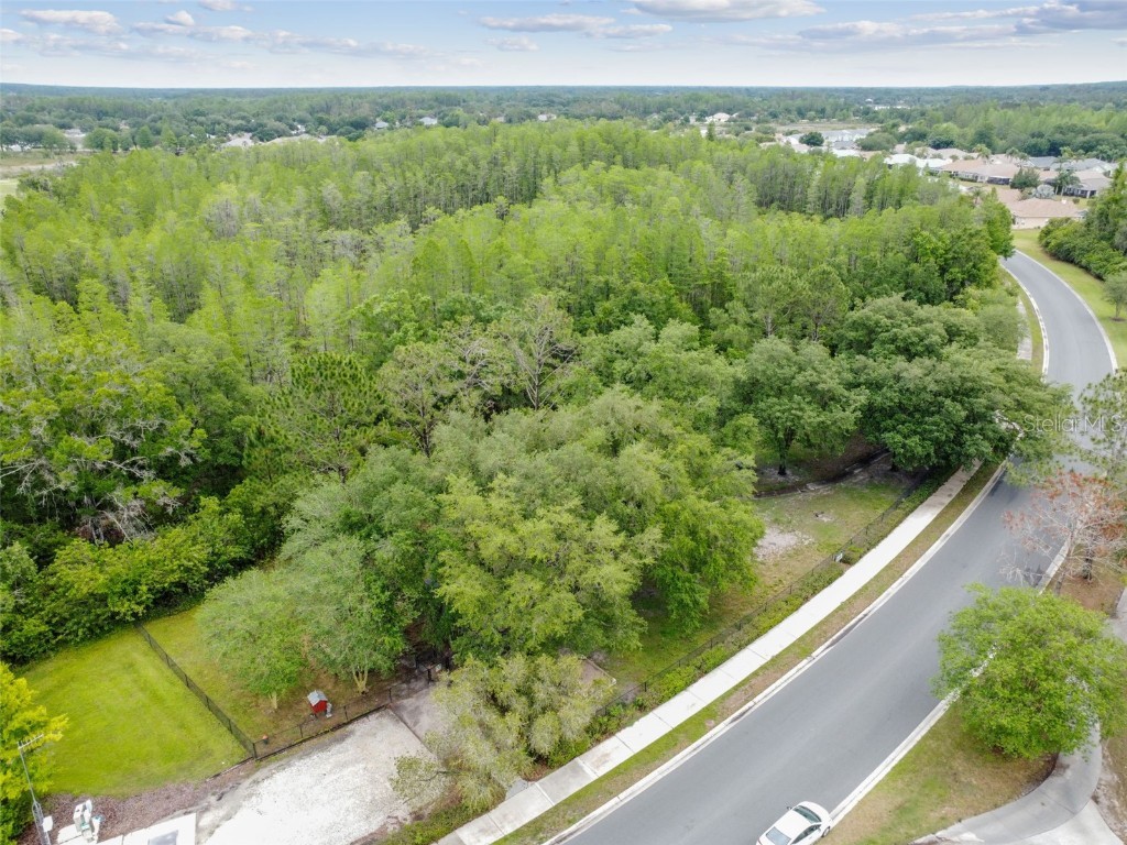 20830 Jaffa Lane Land O Lakes FL 34637 TB8438483 image57