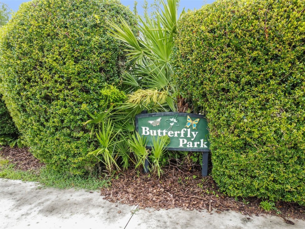 20830 Jaffa Lane Land O Lakes FL 34637 TB8438483 image60