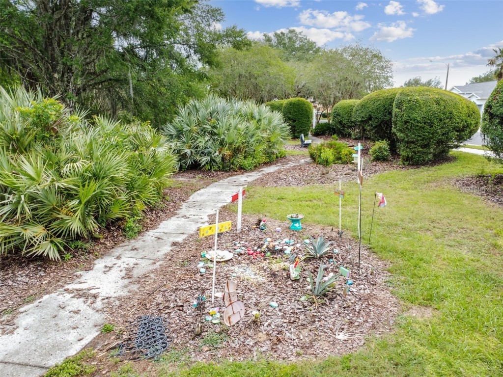 20830 Jaffa Lane Land O Lakes FL 34637 TB8438483 image62