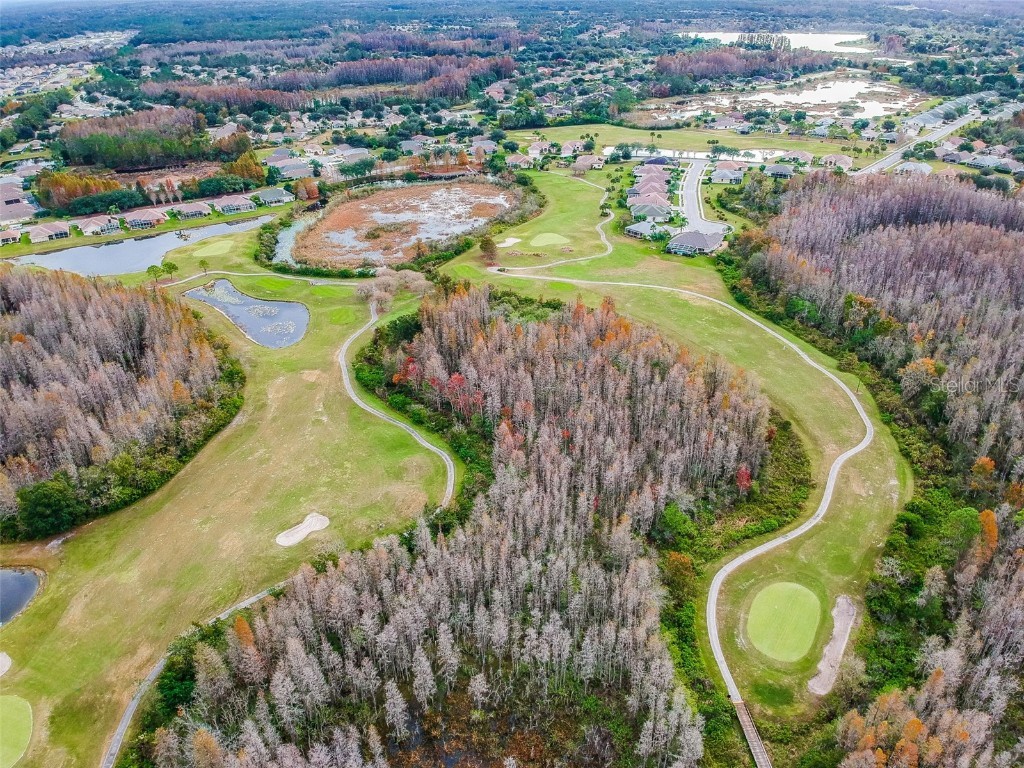 20830 Jaffa Lane Land O Lakes FL 34637 TB8438483 image66