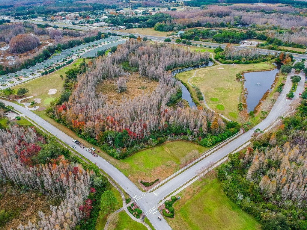 20830 Jaffa Lane Land O Lakes FL 34637 TB8438483 image67