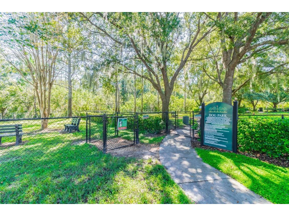 20830 Jaffa Lane Land O Lakes FL 34637 TB8438483 image89