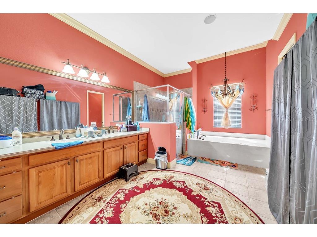 20831 Copperhead Drive Lehigh Acres FL 33936 O6358732 image16