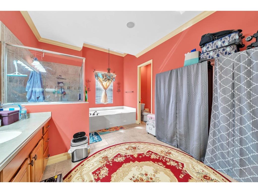 20831 Copperhead Drive Lehigh Acres FL 33936 O6358732 image17