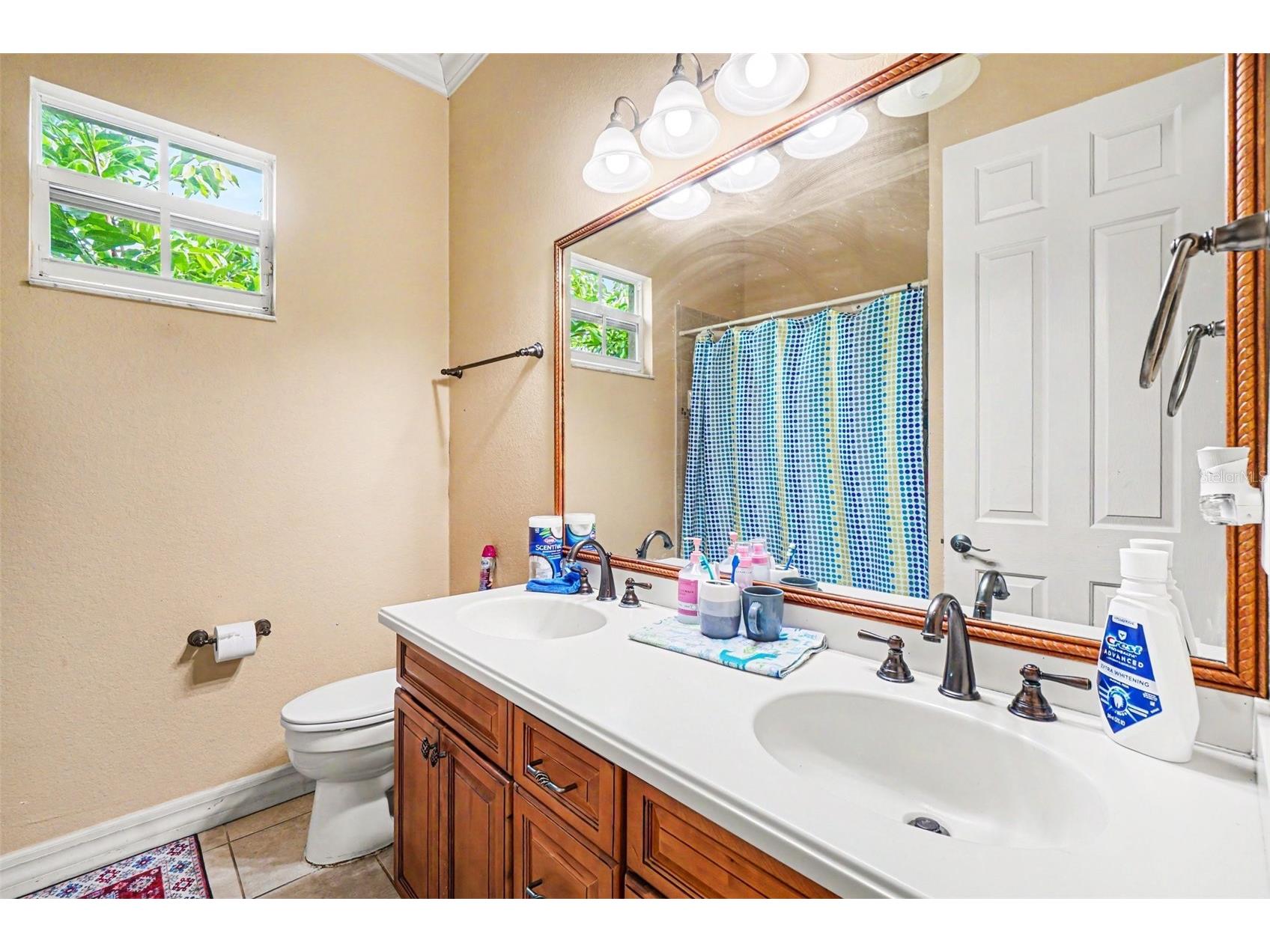 20831 Copperhead Drive Lehigh Acres FL 33936 TB8517680 image22