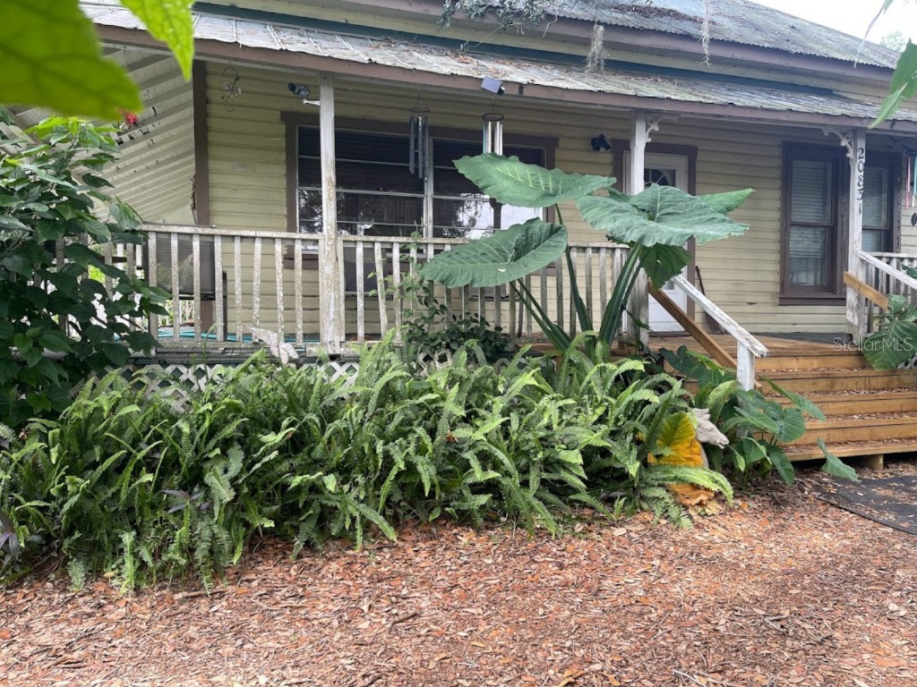 20831 Old Trilby Road Dade City FL 33523 U8201925 image1