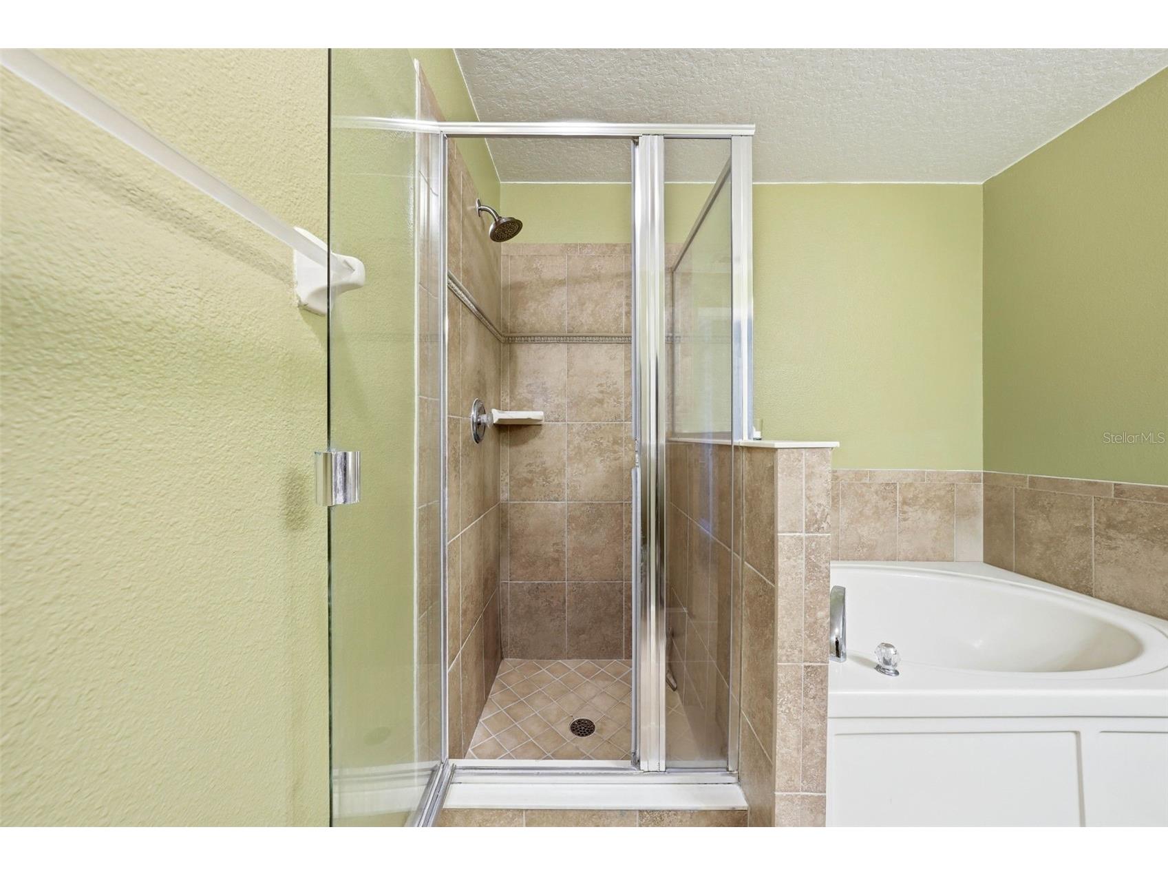 20831 Sullivan Ranch Boulevard Mount Dora FL 32757 G5112069 image21