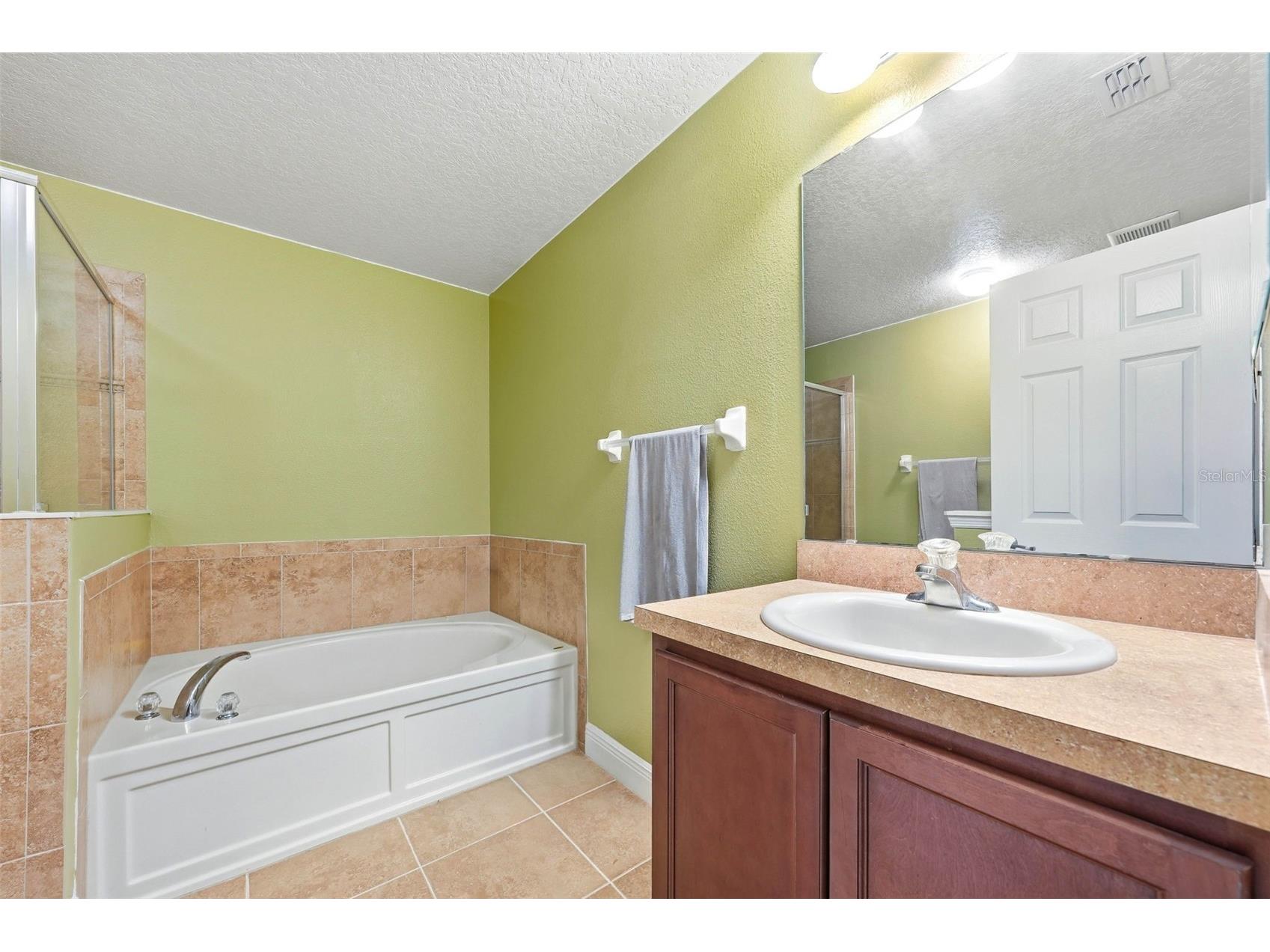 20831 Sullivan Ranch Boulevard Mount Dora FL 32757 G5112069 image22