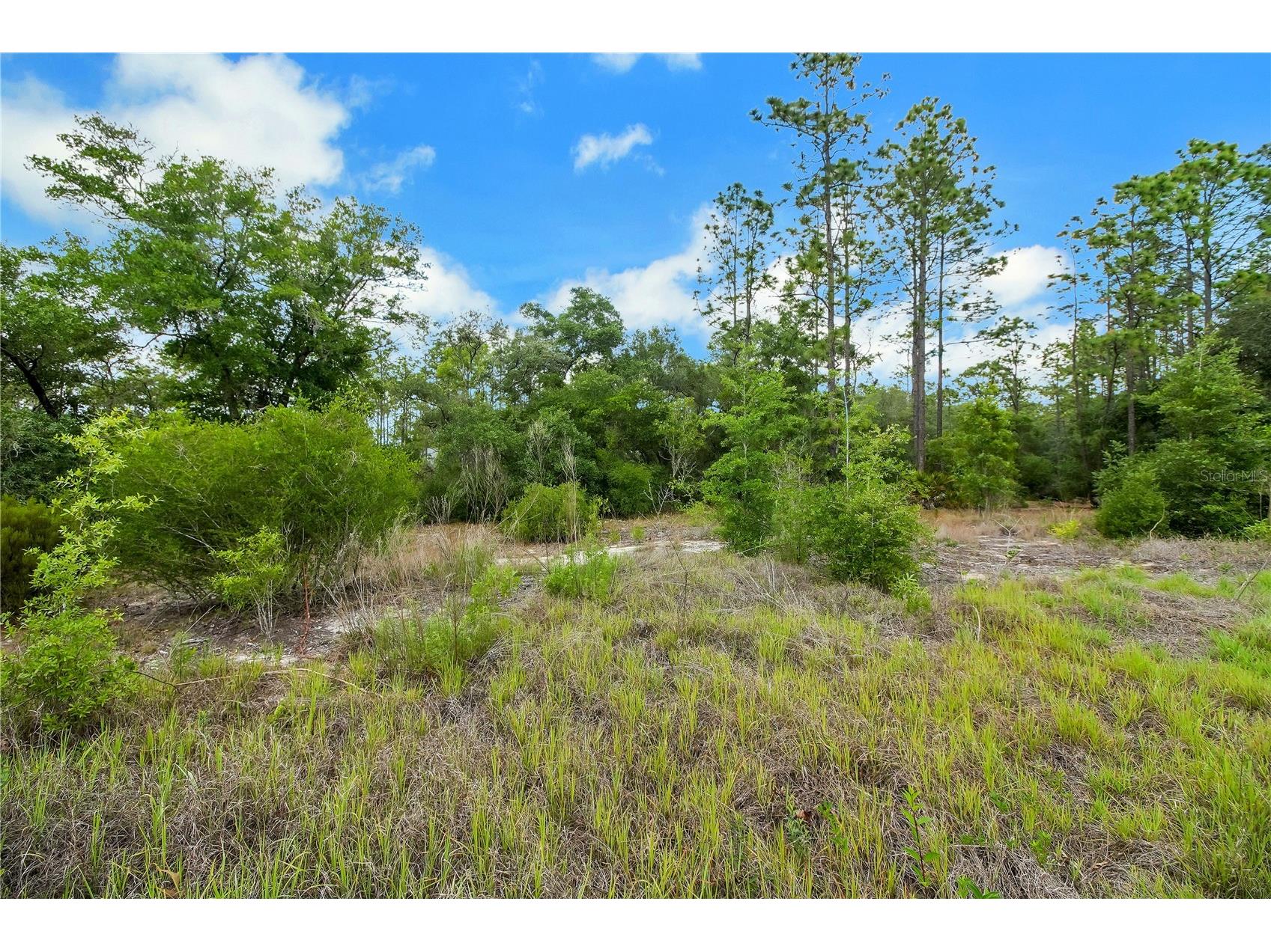 20831 SW 59th Lane Dunnellon FL 34431 O6407763 image90