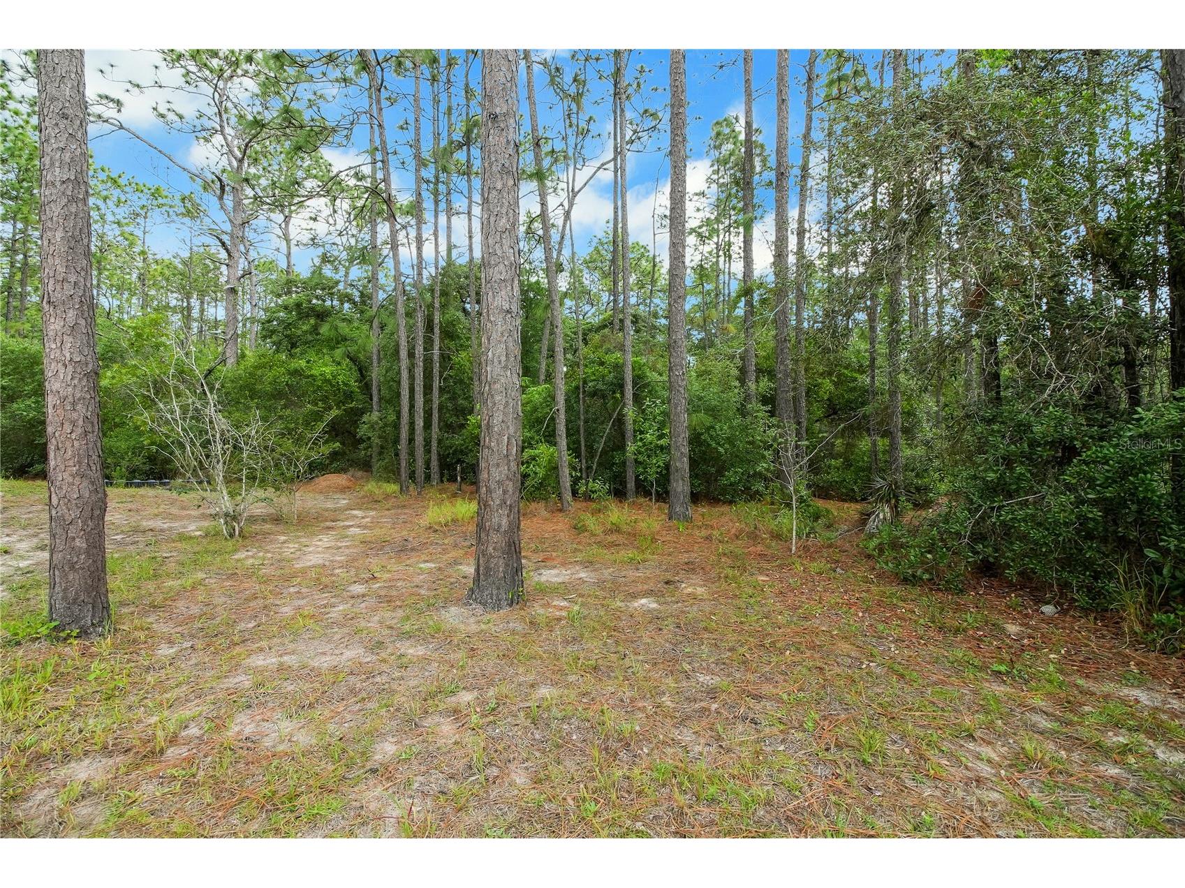 20831 SW 59th Lane Dunnellon FL 34431 O6407763 image97