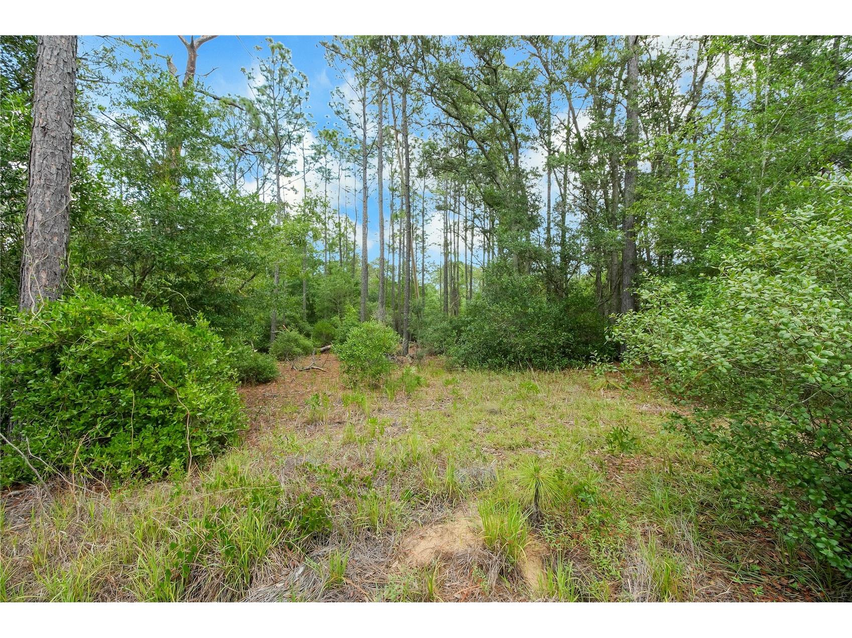 20831 SW 59th Lane Dunnellon FL 34431 O6407763 image98