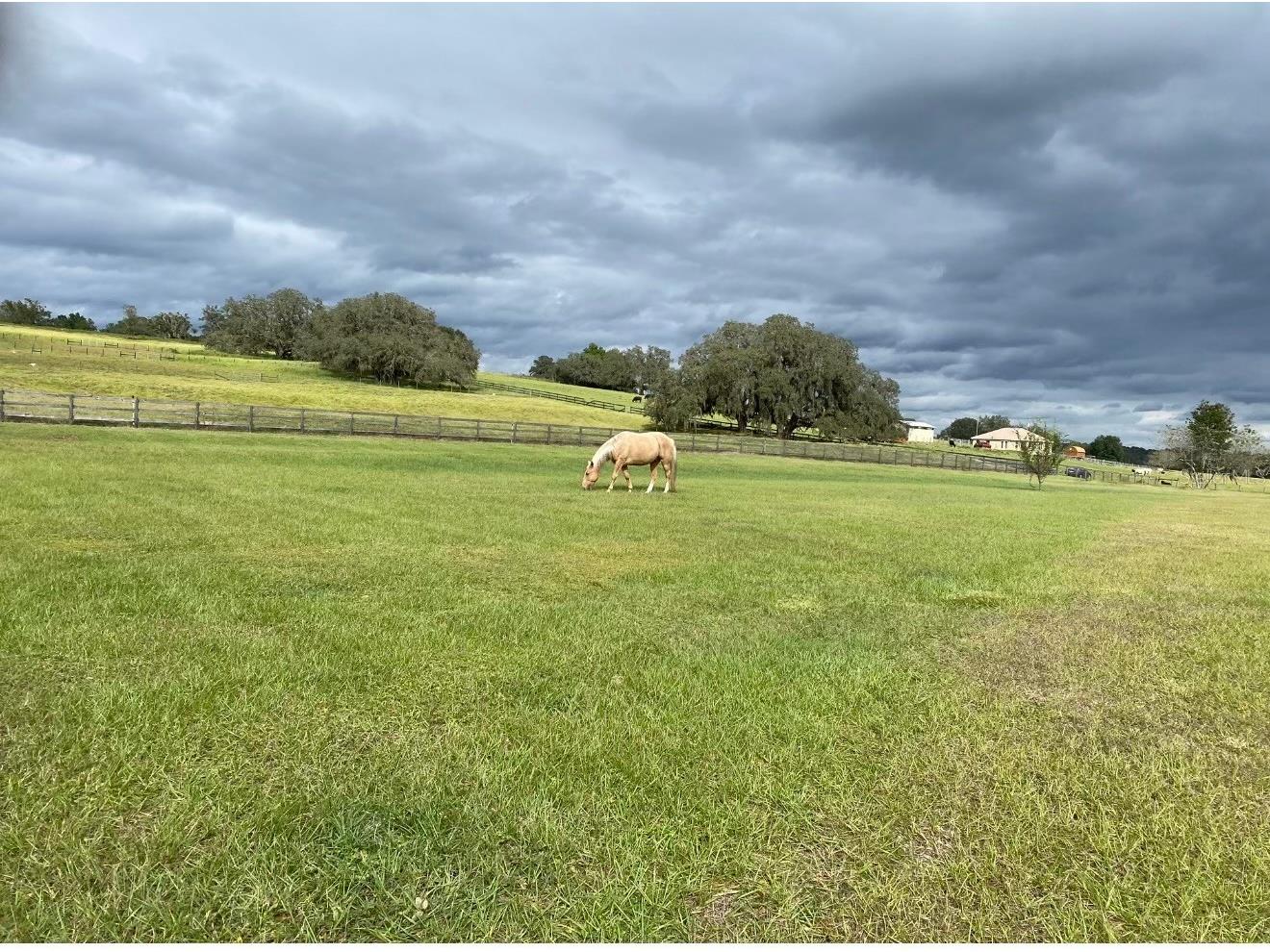 20832 Hunter Hill Drive Dade City FL 33523 W7882983 image13