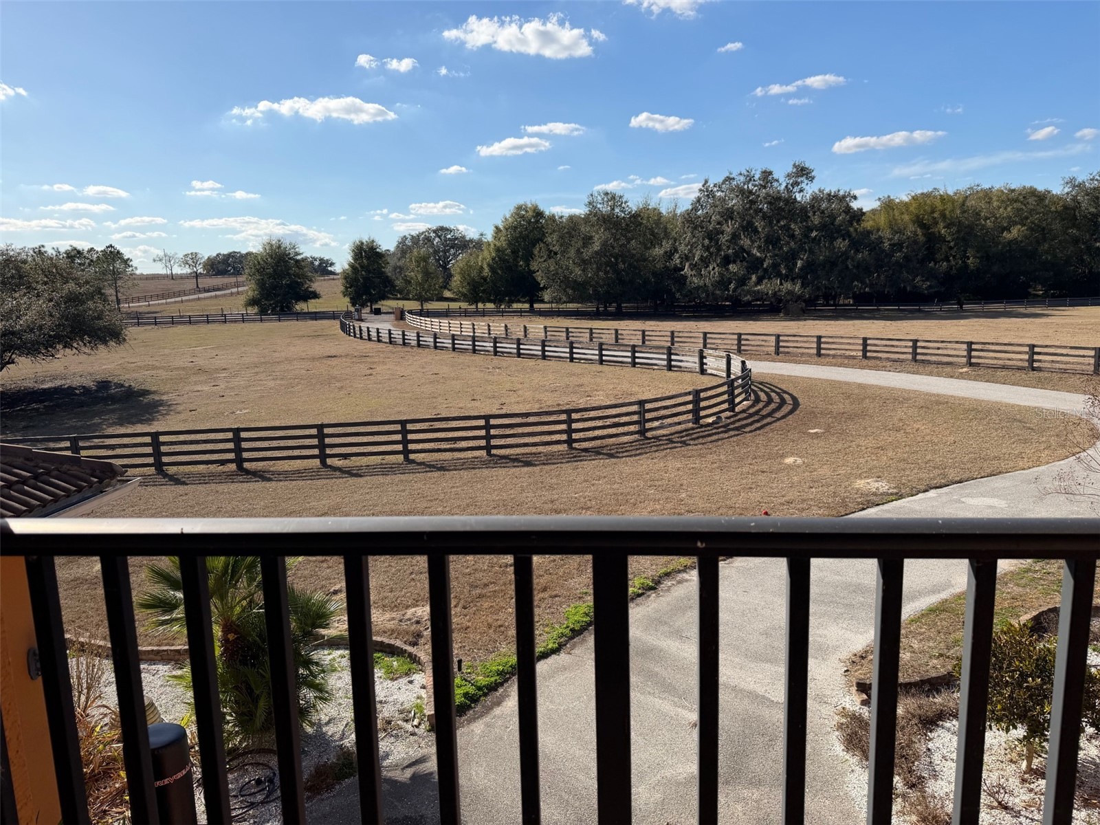 20832 Hunter Hill Drive Dade City FL 33523 W7882983 image23