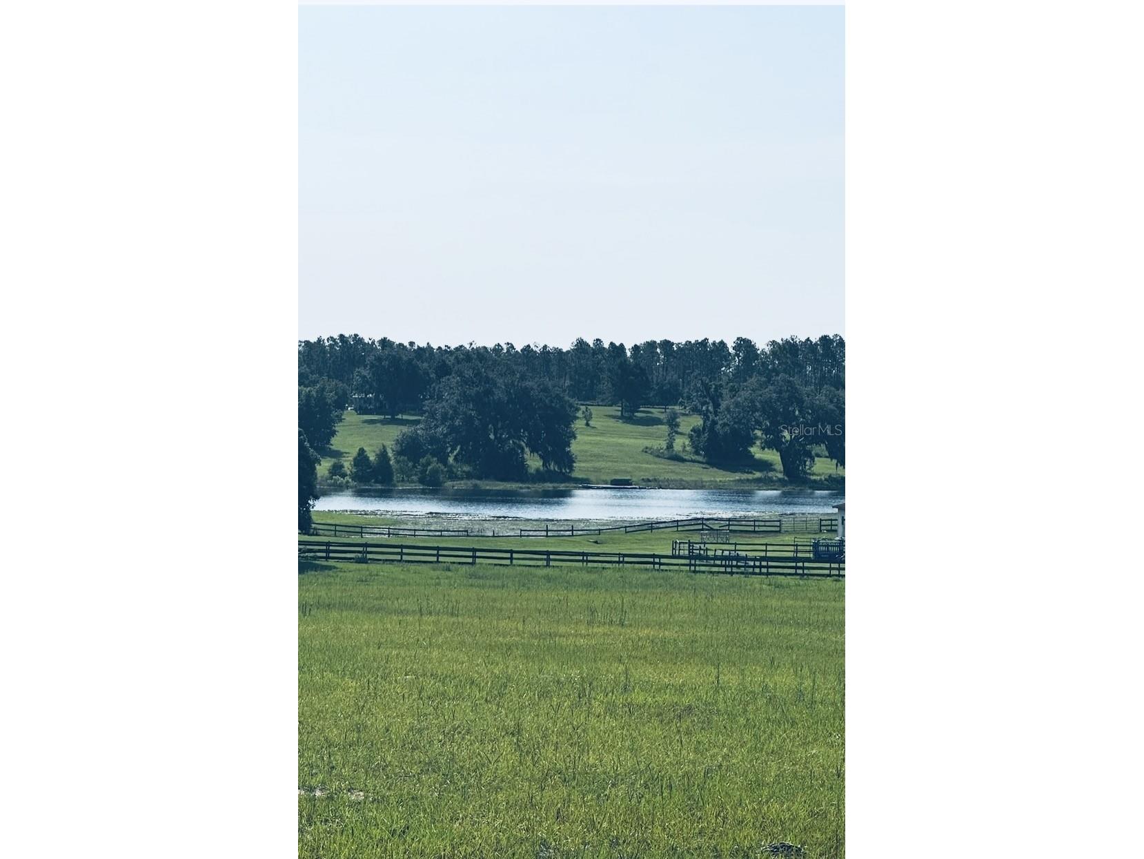 20832 Hunter Hill Drive Dade City FL 33523 W7882983 image9