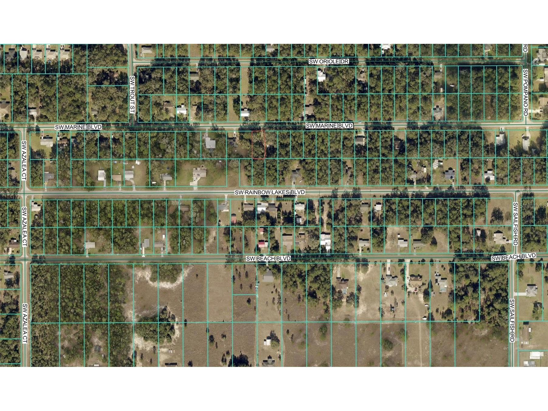 20832 SW Marine Boulevard Dunnellon FL 34431 OM716682 image3