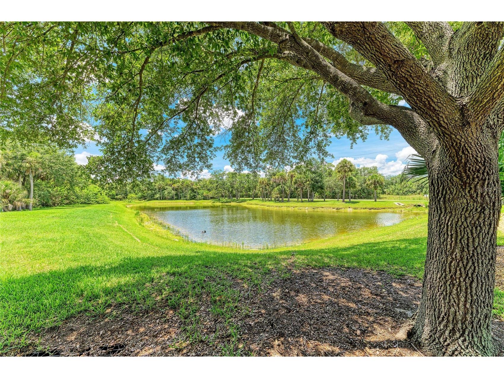 2084 La Palma Avenue Port Charlotte FL 33953 A4698223 image62
