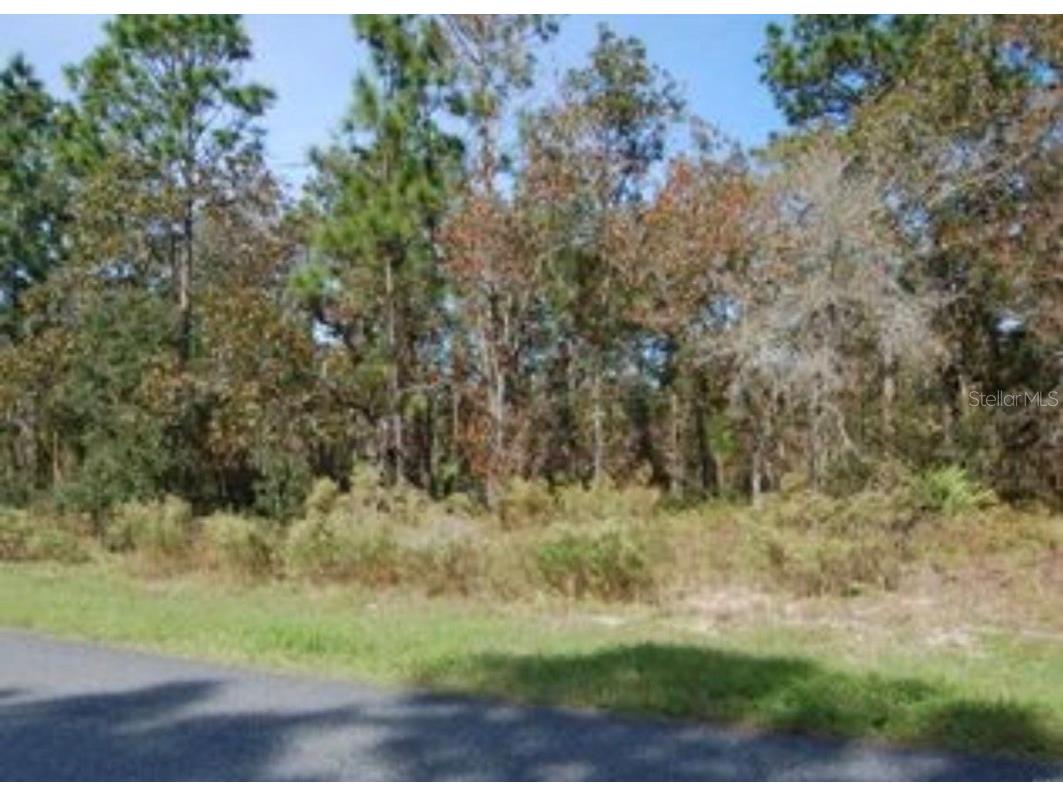 2084 W Riley Drive Citrus Springs FL 34434 O6364824 image2