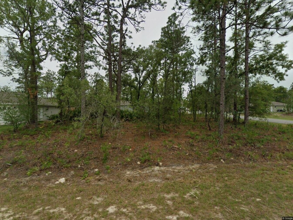 2084 W Riley Drive Citrus Springs FL 34434 O6364824 image3