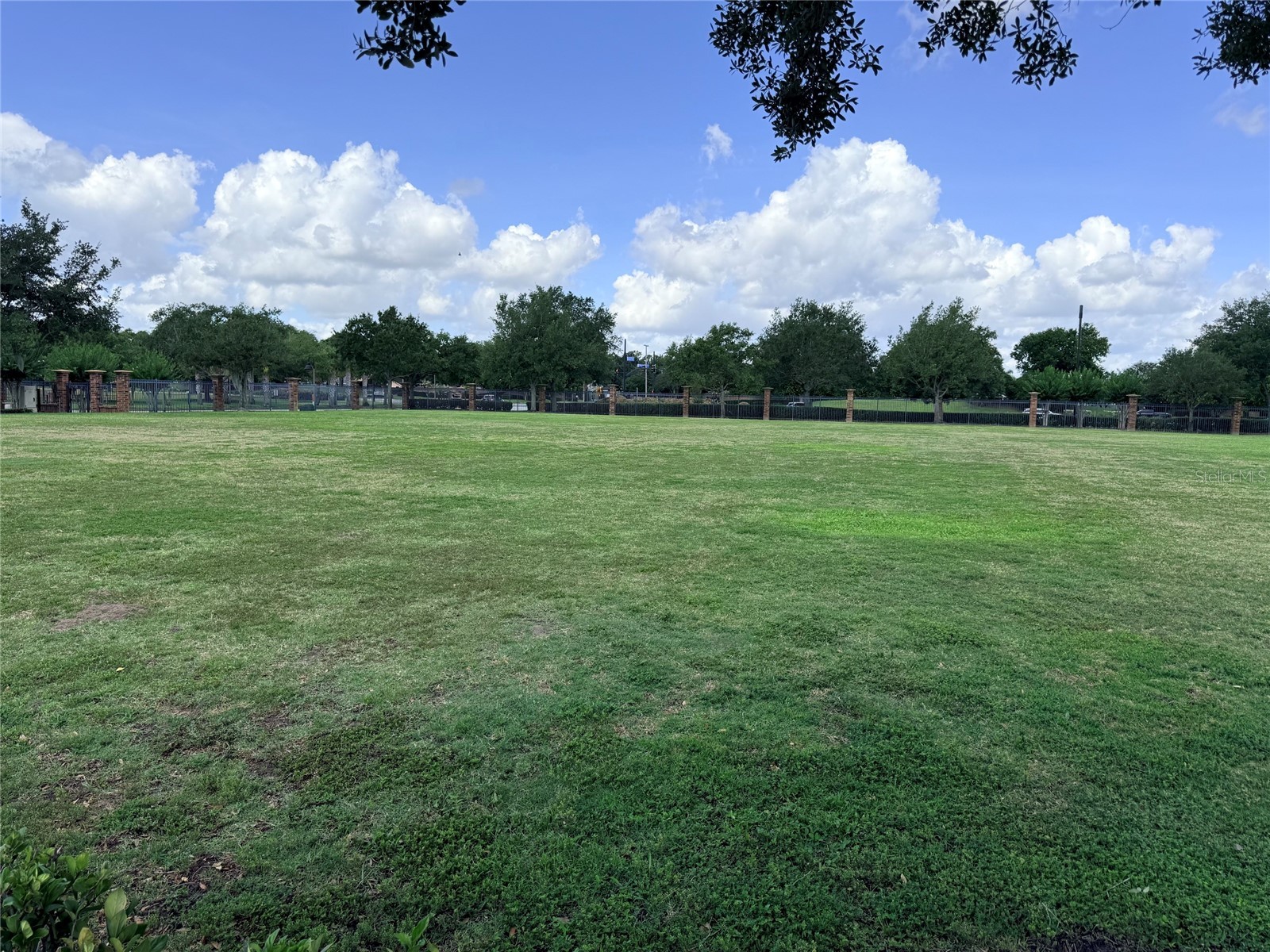 2084 Water Tupelo Way Ocoee FL 34761 O6410802 image33