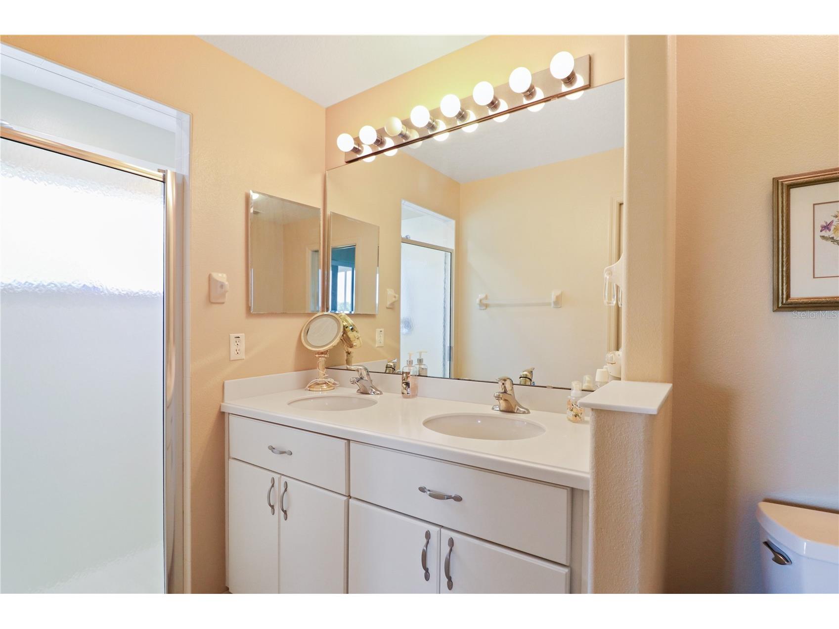 20846 Queen Alexandra Drive Leesburg FL 34748 G5110495 image13
