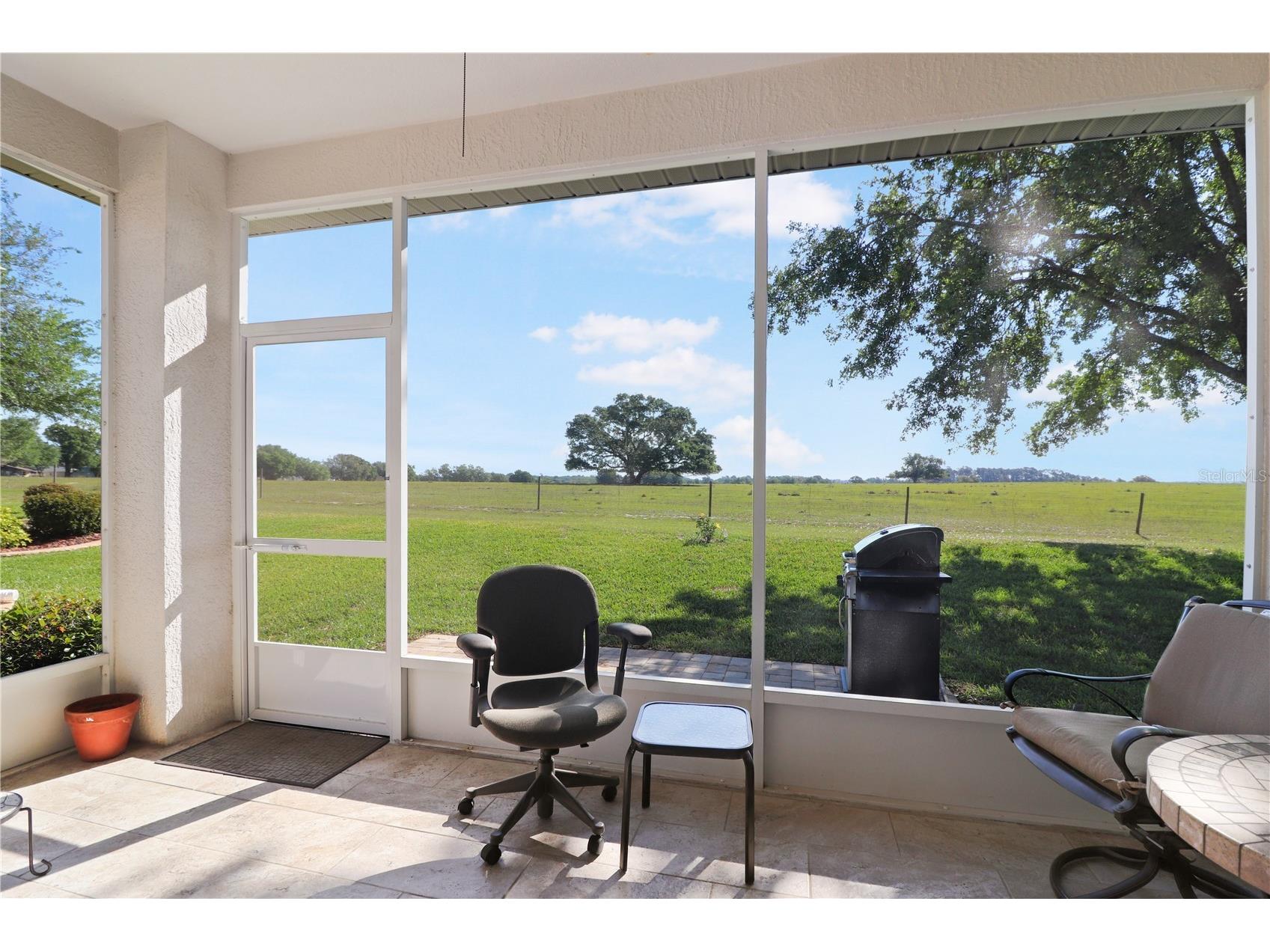20846 Queen Alexandra Drive Leesburg FL 34748 G5110495 image23