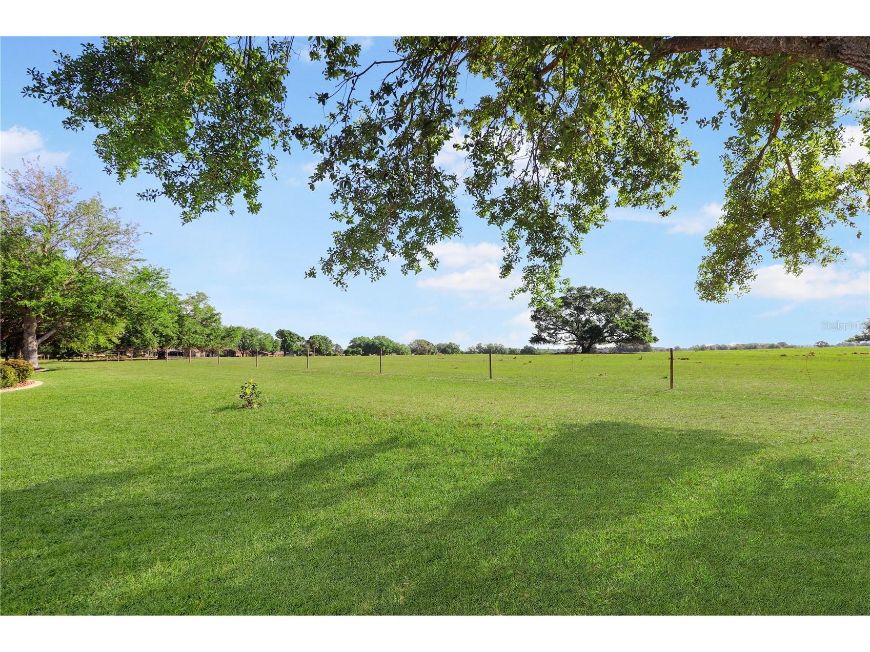 20846 Queen Alexandra Drive Leesburg FL 34748 G5110495 image28