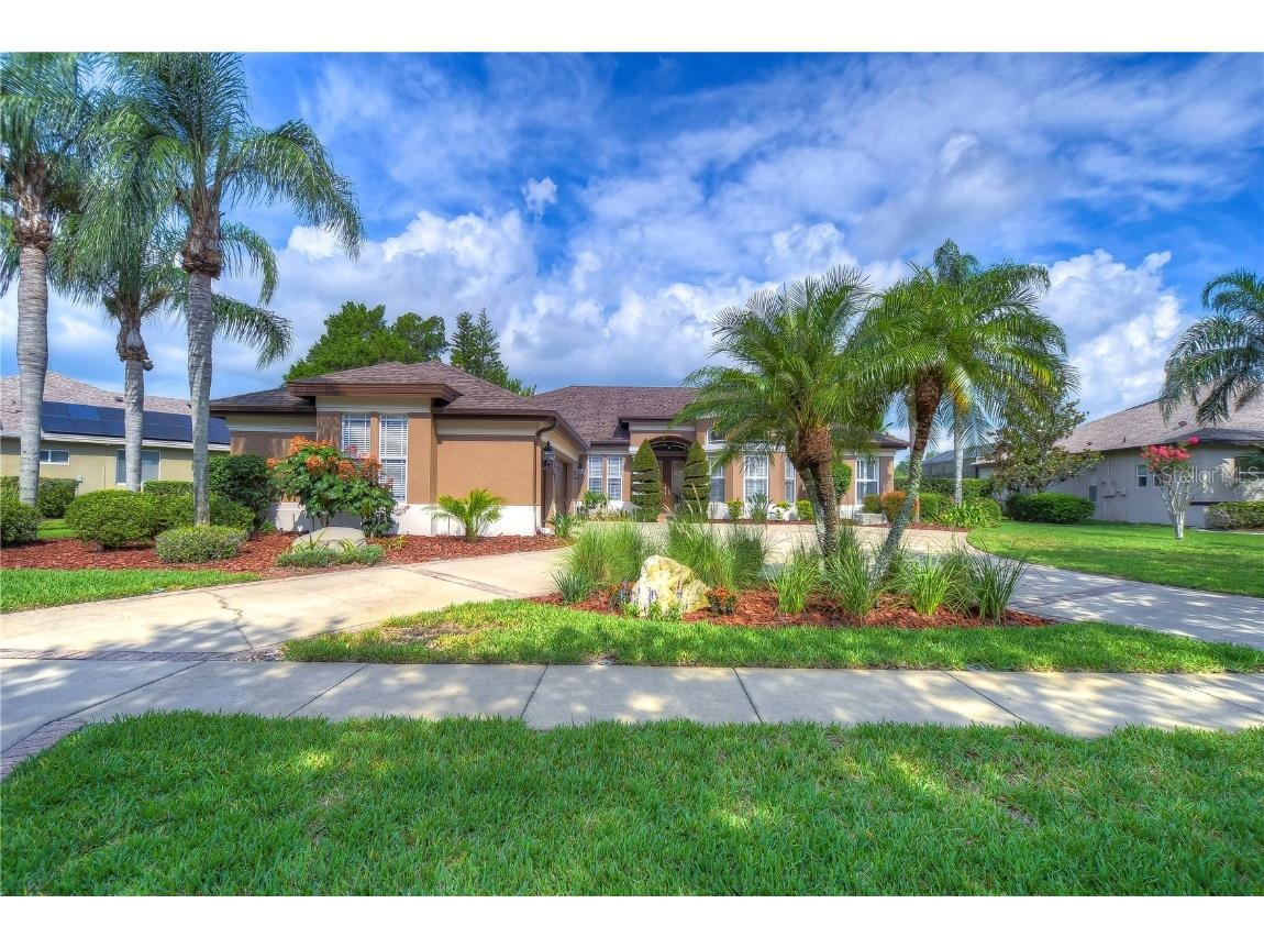 20847 Broadwater Drive Land O Lakes FL 34638 T3453638 image1