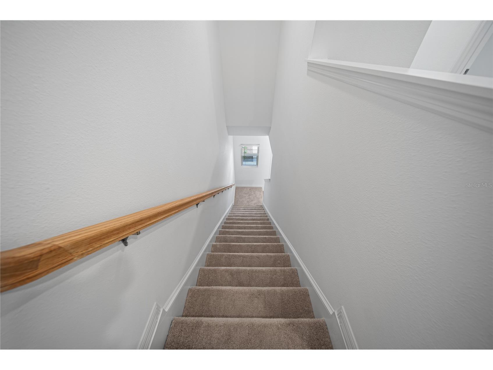 2085 Hallier Cove Wesley Chapel FL 33543 TB8518079 image13