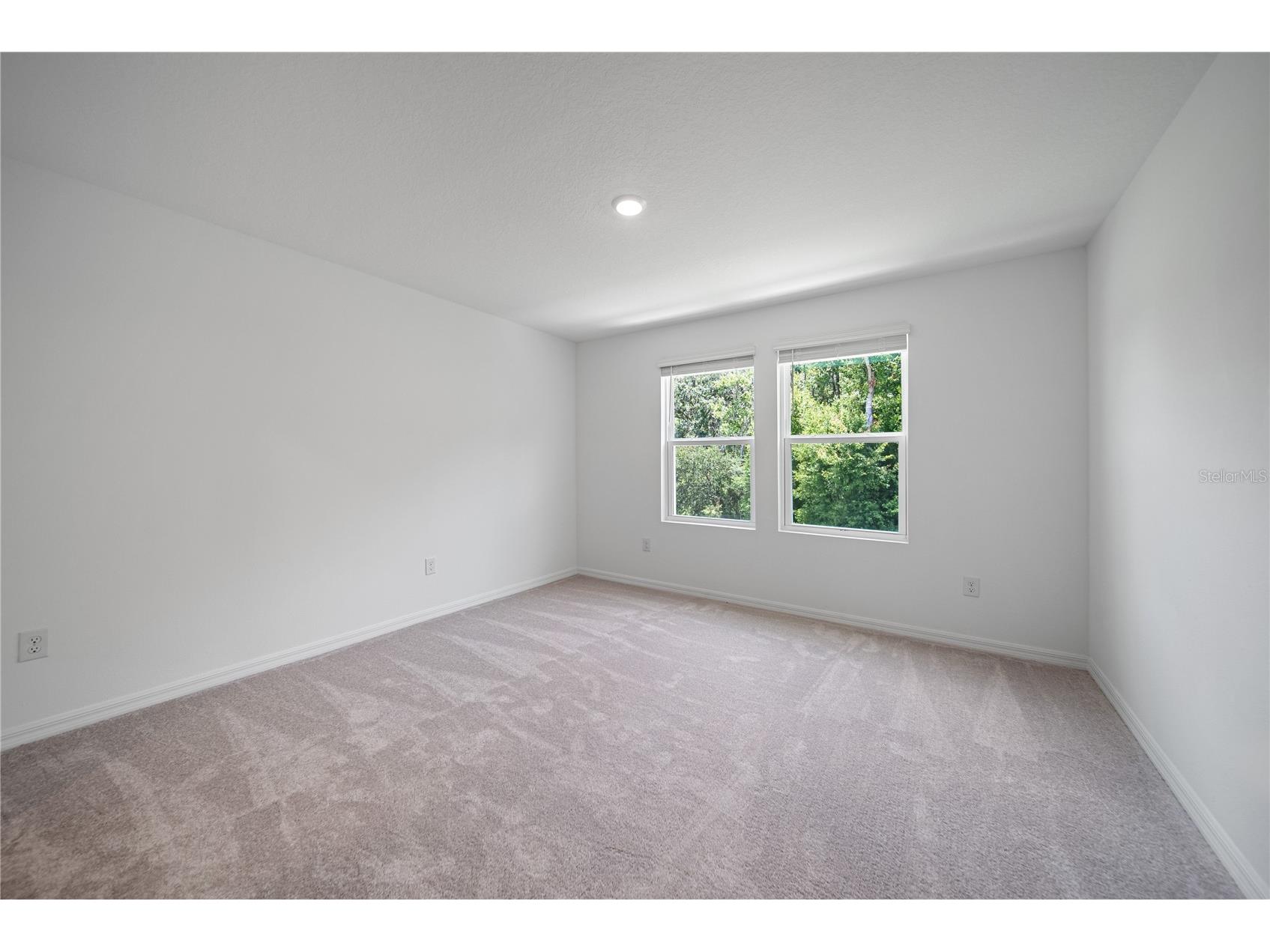 2085 Hallier Cove Wesley Chapel FL 33543 TB8518079 image19