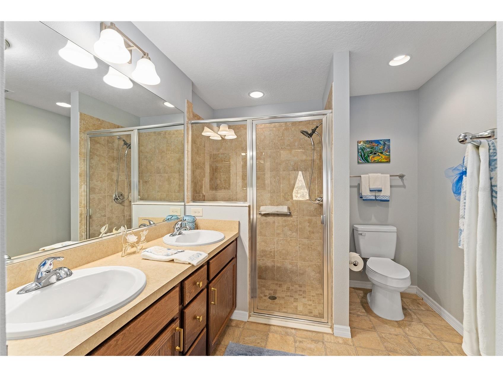 2085 Ironton Place The Villages FL 32163 G5111893 image17