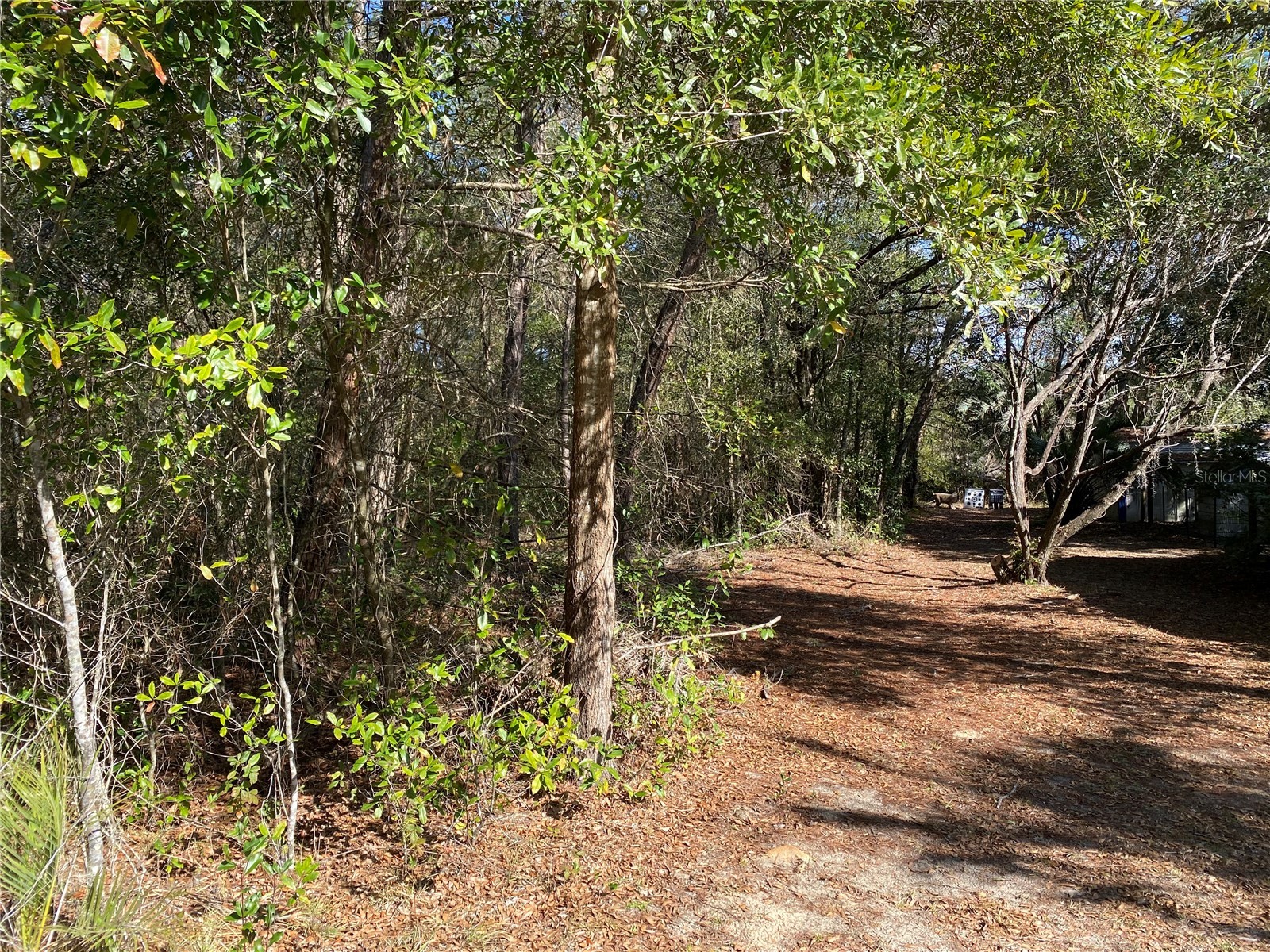 2085 SW Algiers Court Dunnellon FL 34431 O6421477 image3