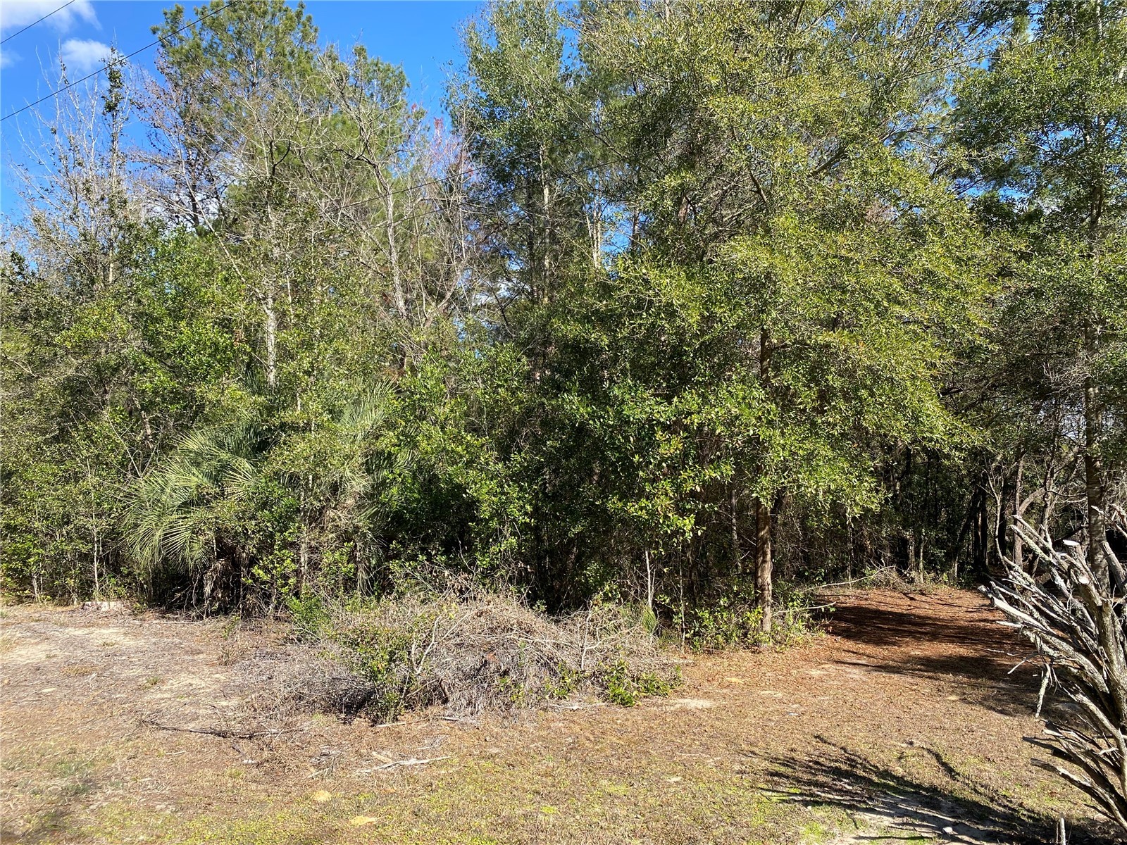 2085 SW Algiers Court Dunnellon FL 34431 O6421477 image4