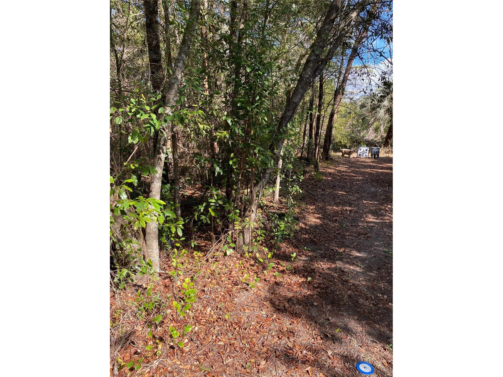2085 SW Algiers Court Dunnellon FL 34431 O6421477 image5