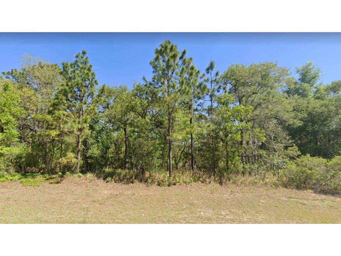 2085 W Hampshire Boulevard Citrus Springs FL 34434 O6079455 image1