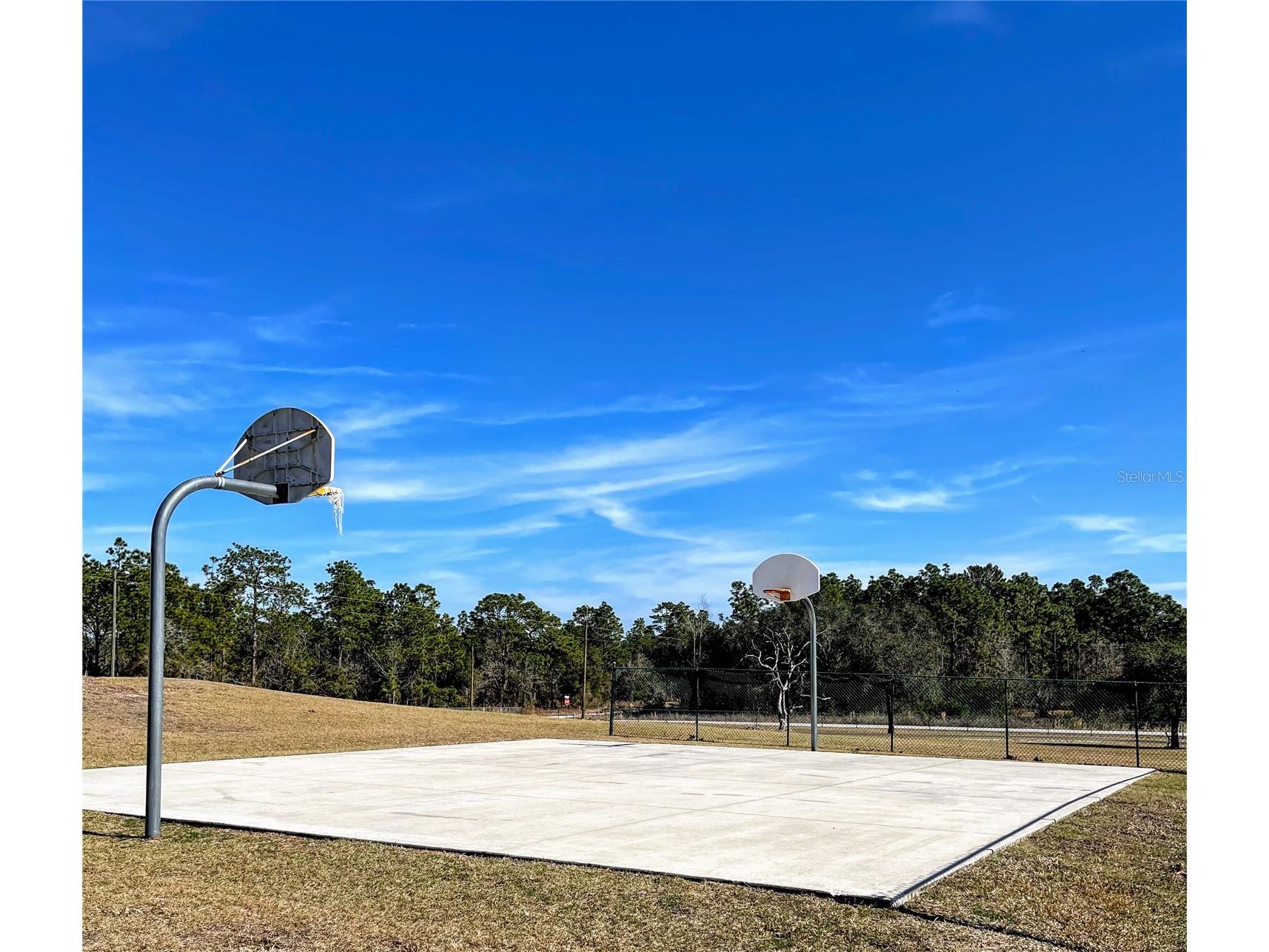 20851 SW Audubon Avenue Dunnellon FL 34431 OM723664 image59