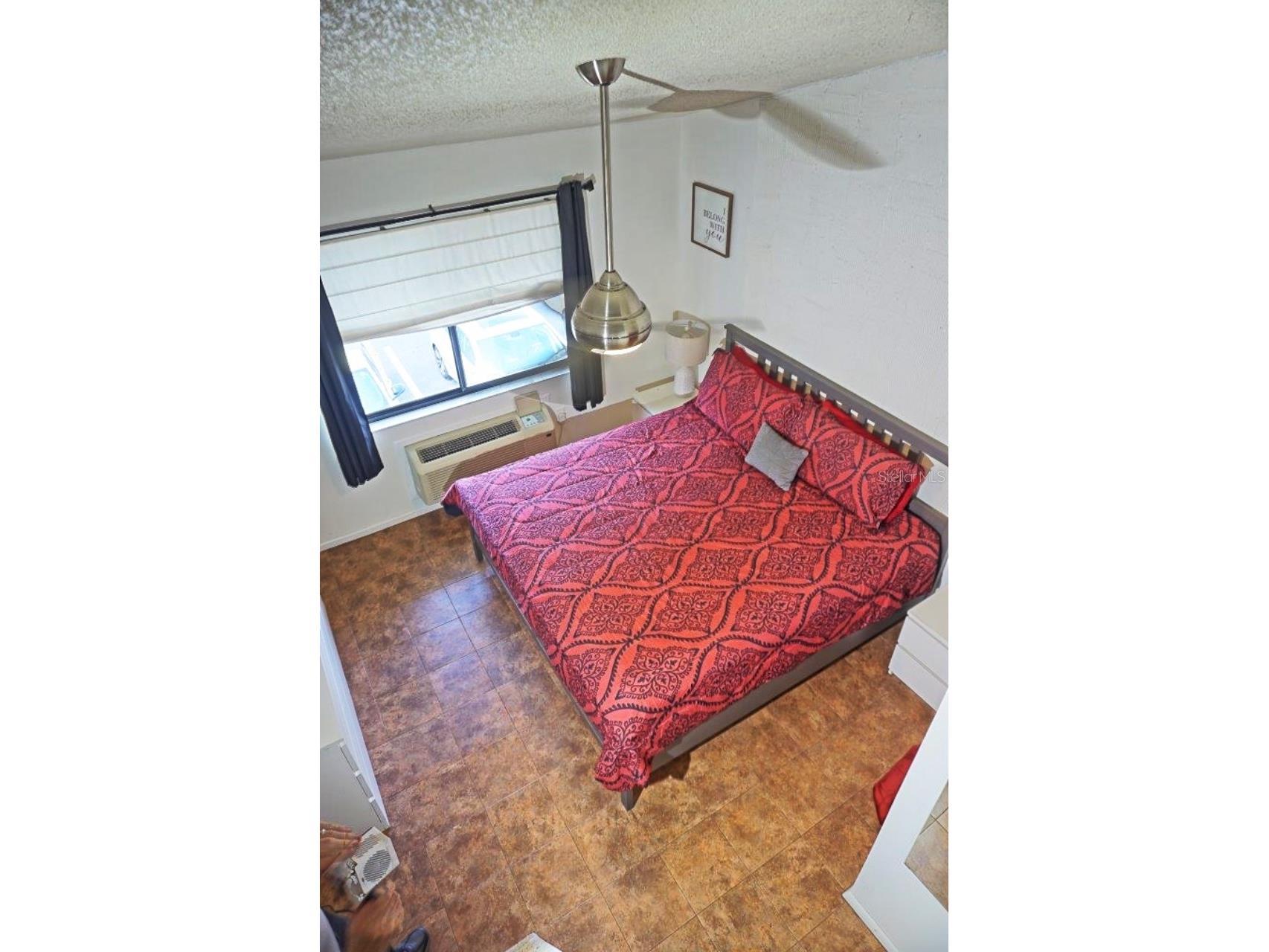 20853 Haulover Cove #A12 Lutz FL 33558 W7885382 image16