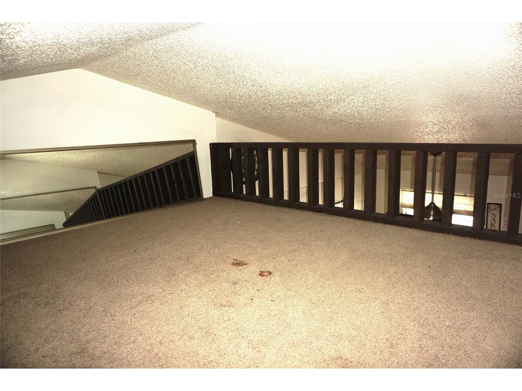 20853 Haulover Cove #A12 Lutz FL 33558 W7885382 image26