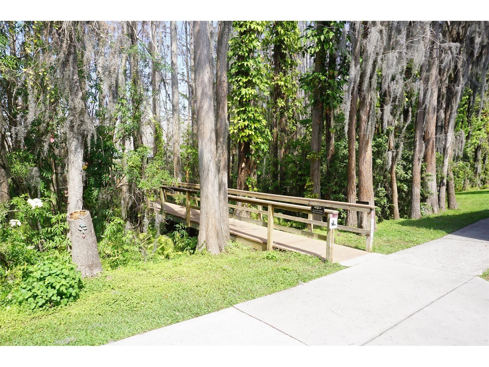 20853 Haulover Cove #A12 Lutz FL 33558 W7885382 image30