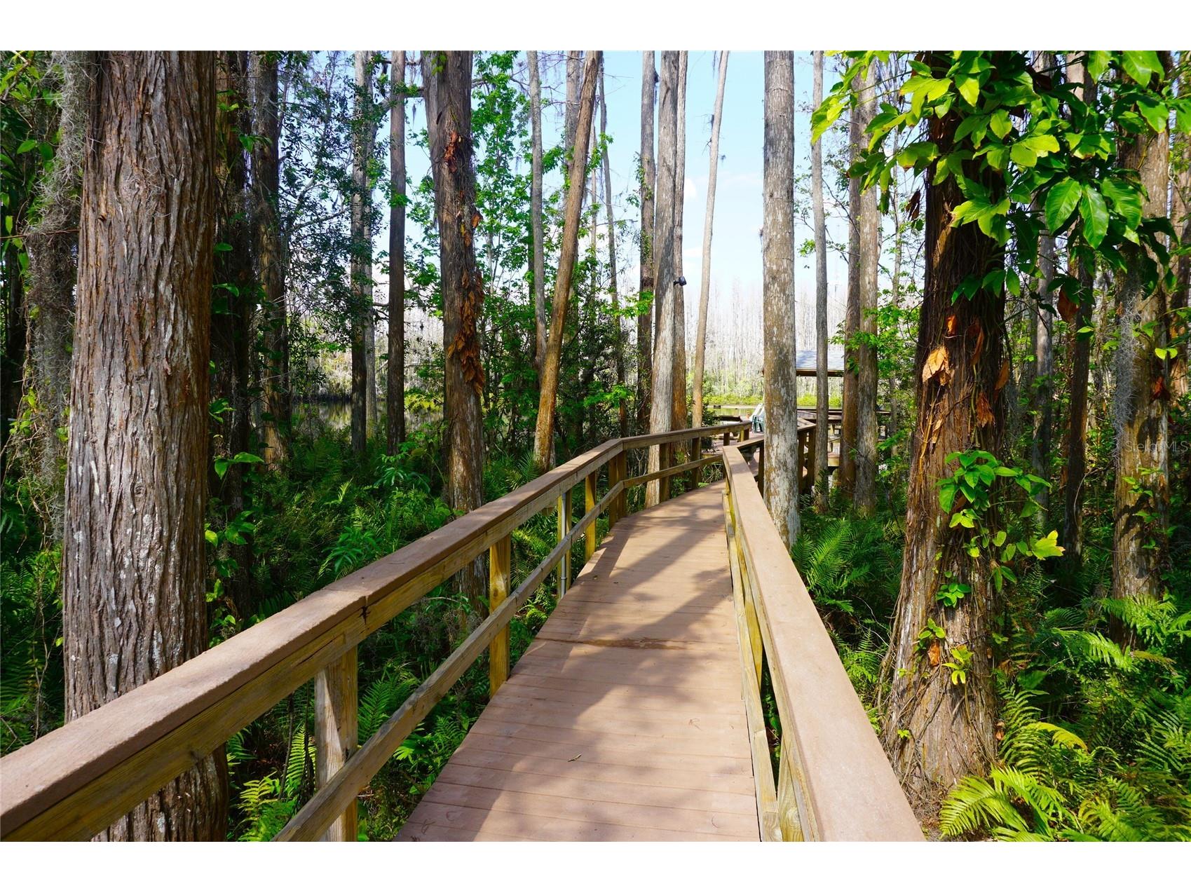 20853 Haulover Cove #A12 Lutz FL 33558 W7885382 image31