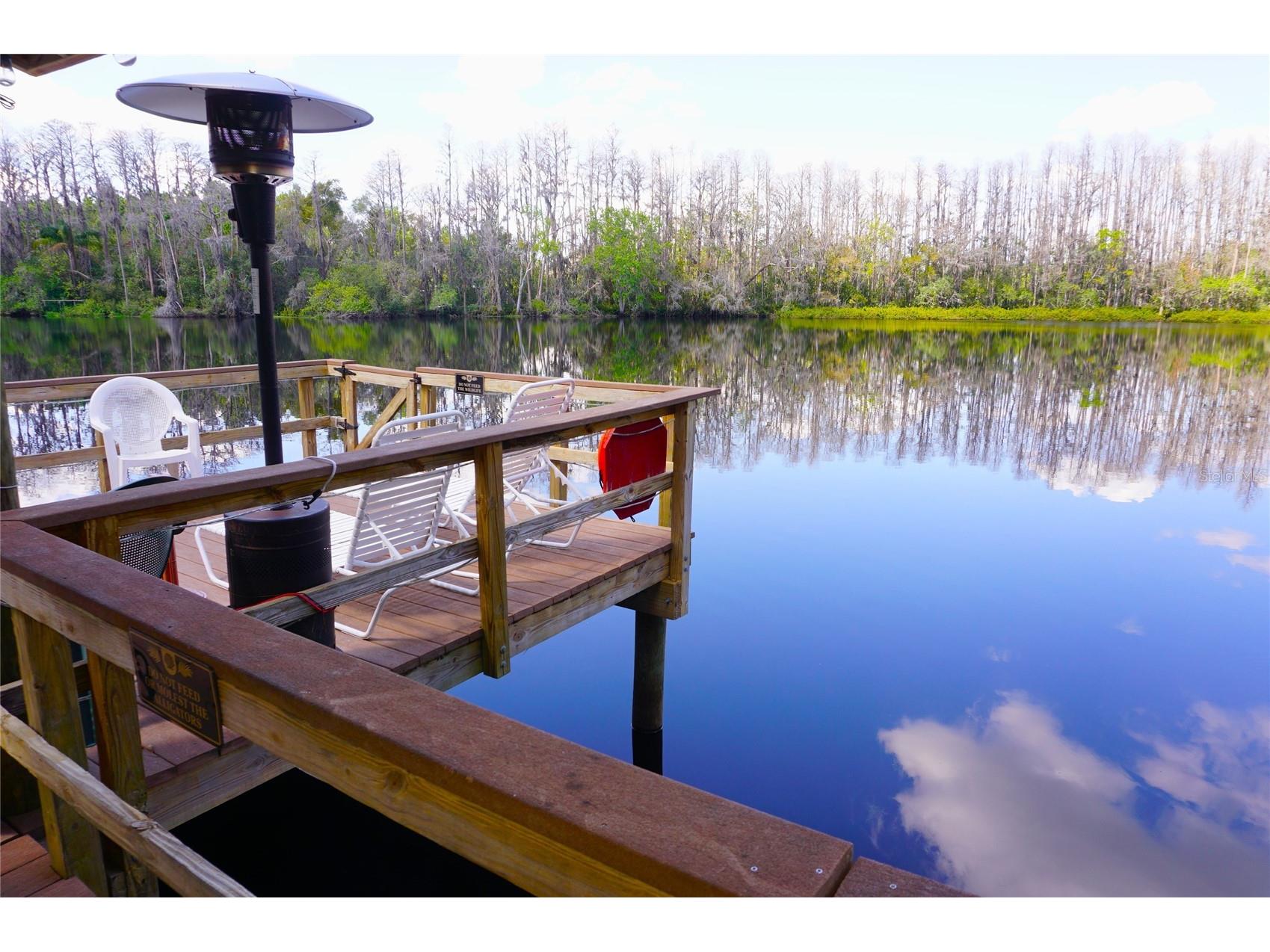 20853 Haulover Cove #A12 Lutz FL 33558 W7885382 image33