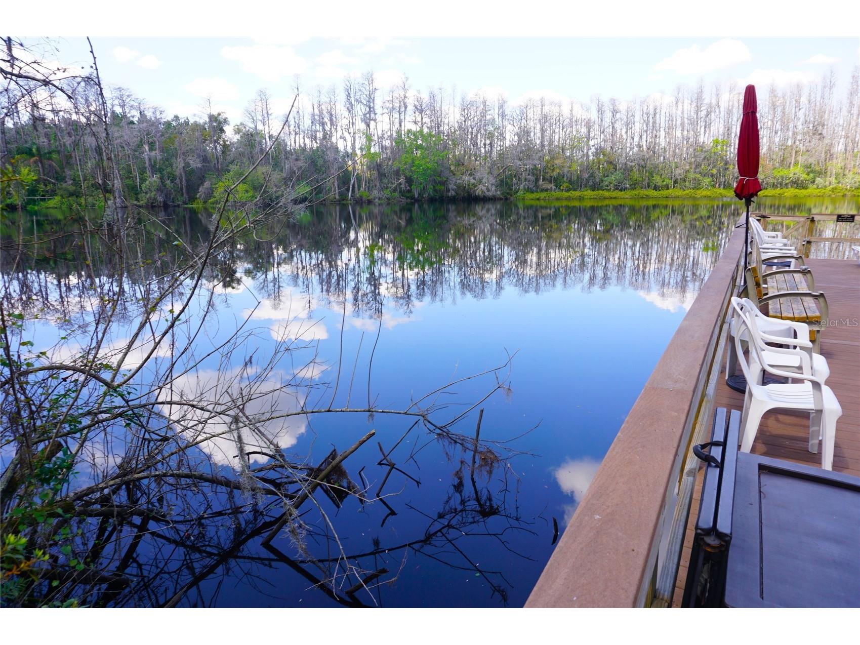 20853 Haulover Cove #A12 Lutz FL 33558 W7885382 image34