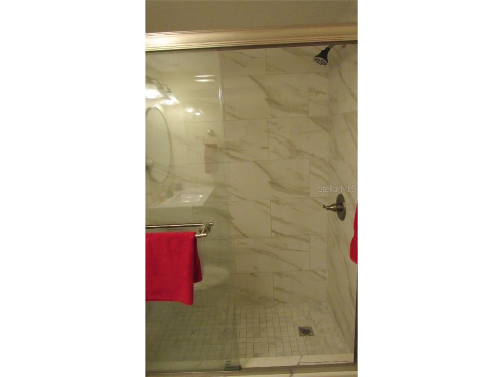 20853 Haulover Cove #A8 Lutz FL 33558 TB8326175 image22