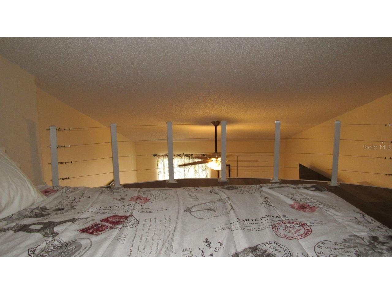 20853 Haulover Cove #A8 Lutz FL 33558 TB8326175 image23