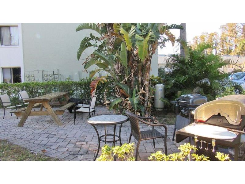 20853 Haulover Cove #A8 Lutz FL 33558 TB8326175 image29