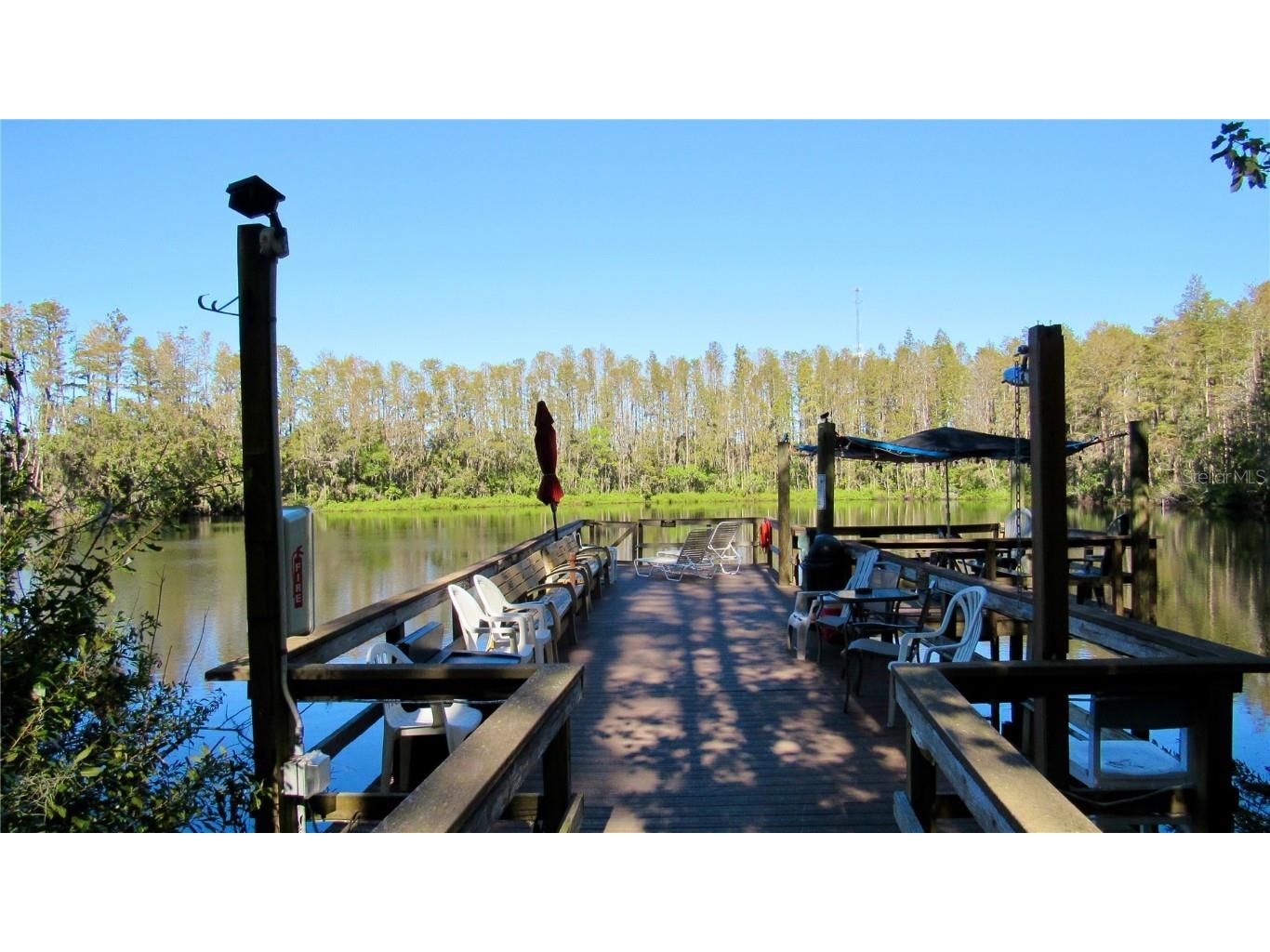 20853 Haulover Cove #A8 Lutz FL 33558 TB8326175 image31