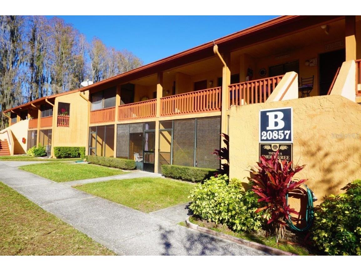 20857 Haulover Cove #B12 Lutz FL 33558 W7851730 image1