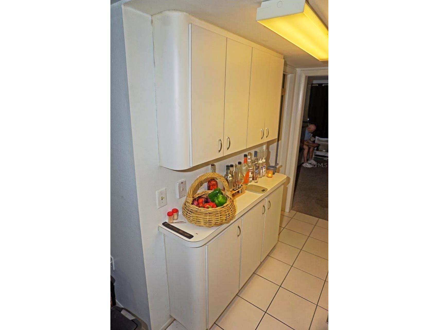 20857 Haulover Cove #B14 Lutz FL 33558 W7885188 image14